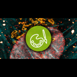 ABBERIOR PLEX  - Dyes for MULTUPLEXING