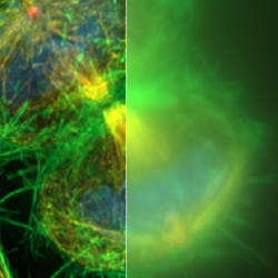 Huygens Deconvolution Solutions