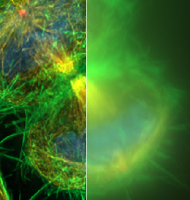 Huygens Deconvolution Solutions