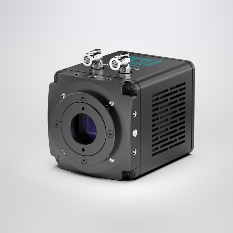 Aries 6504